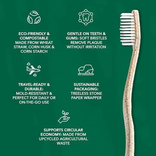 Terra & Co. Gentle Green Toothbrushes – 20-Pack of Plastic-Free Toothbrushes with Soft Bristles for Sensitive Teeth & Gums – Individually Sealed – BPA-Free, Plant-Based, Eco-Friendly & Travel-Ready