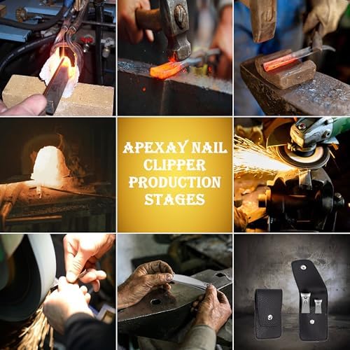 Made in Solingen, Germany – APEXAY Professional Nail Clippers Set, Premium Fingernail & Toenail Cutter for Men & Women, Heavy Duty, Surgical Stainless Steel, Sharp, Durable, for Thick Nails, Trim Easy