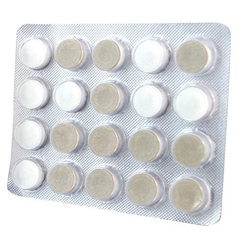 Oracoat XyliMelts for Dry Mouth Night Time or Day - Moisturizing Dry Mouth Adhering Discs, Sugar Free with Xylitol, 40 Count - Pack of 3, Mild Mint Flavor, 8-Hour Relief
