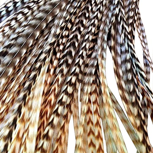 Natural Hair Feathers, Real Long Feather Hair Extensions with bead loop kit, 20 Long Thin Tie Dye Ginger Brown and Black and White grizzly striped Ombre Bayalage Plumes