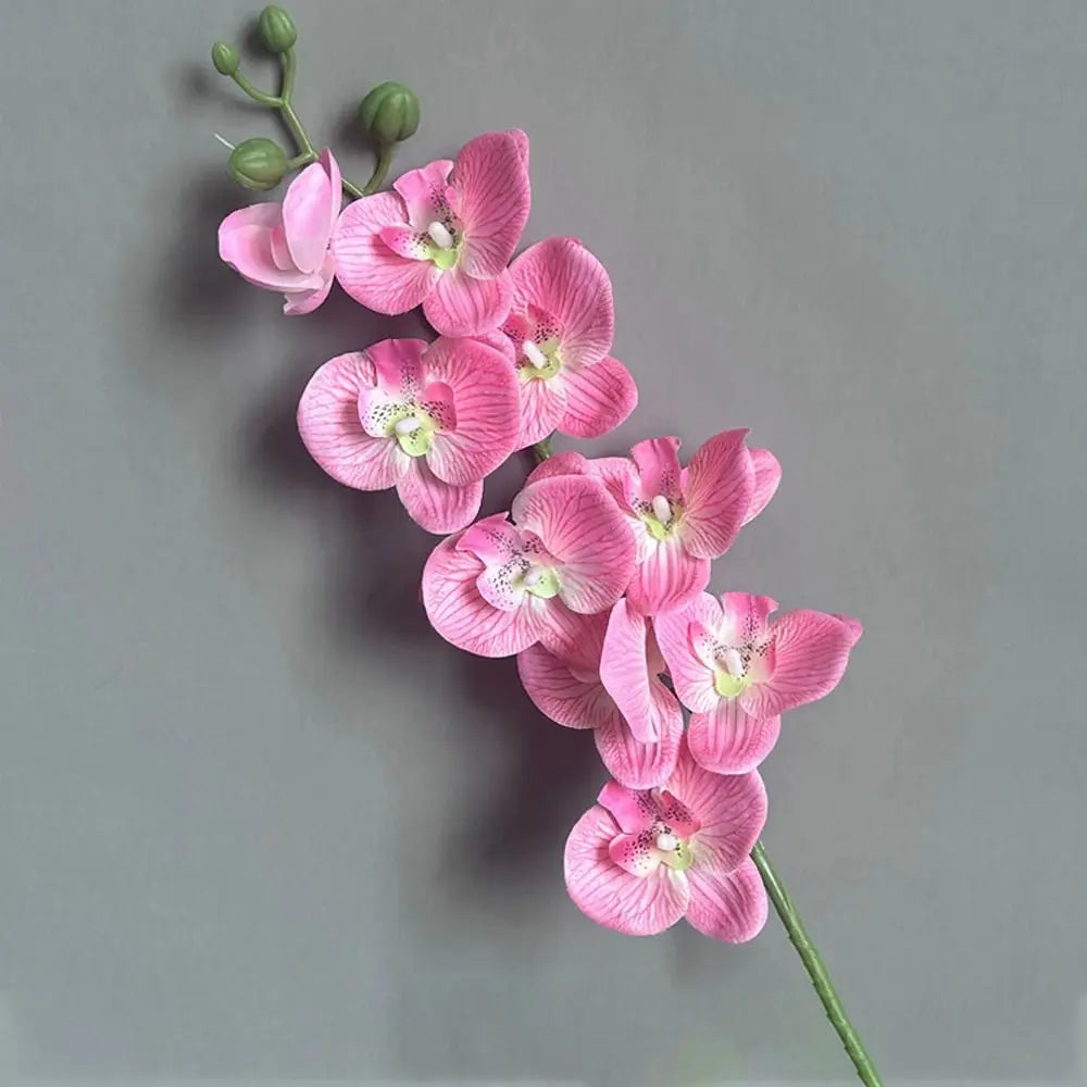 Artificial Phalaenopsis Orchid